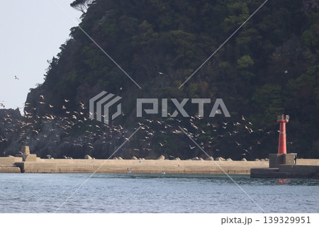 海と鳥と灯台と 海と鳥と灯台と 139329951
