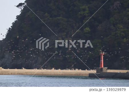 海と鳥と灯台と 海と鳥と灯台と 139329979