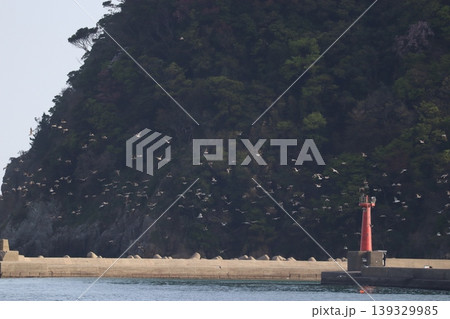 海と鳥と灯台と 海と鳥と灯台と 139329985