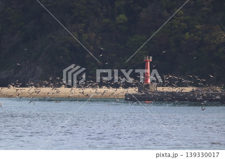 海と鳥と灯台と 海と鳥と灯台と 139330017