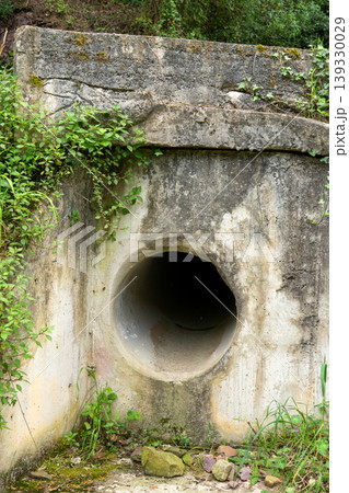 Concrete culvert drain pipe infrastructure in forest 139330029