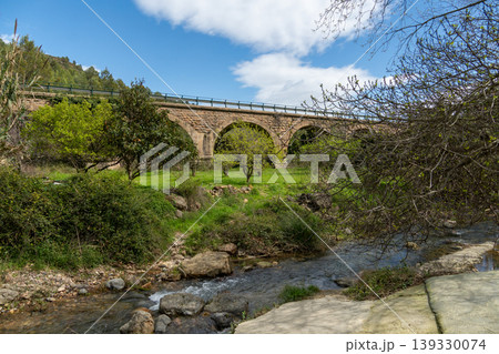 Stone arch bridge spanning river with green landscape Stone arch bridge spanning river with green landscape 139330074