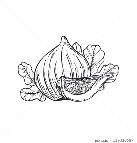 Fig fruit with leaf and slice vector isolated illustration. Hand drawn sketch of sweet exotic food painted by black inks. Botanical drawing for menu design, organic snack packaging and culinary blog Fig fruit with leaf and slice vector isolated illustration. Hand drawn sketch of sweet exotic food painted by black inks. Botanical drawing for menu design, organic snack packaging and culinary blog 139330587