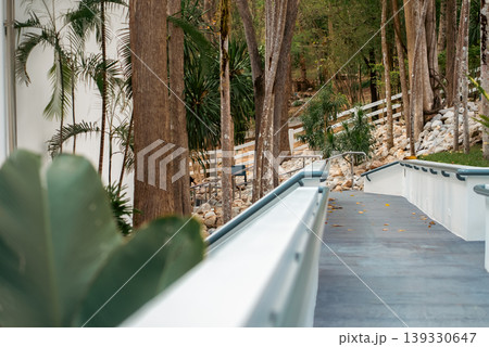 Modern pathway with perspective lines, forest environment with architecture and nature, Minimal outdoor ramp, direction, accessibility and journey in calm green setting Modern pathway with perspective lines, forest environment with architecture and nature, Minimal outdoor ramp, direction, accessibility and journey in calm green setting 139330647
