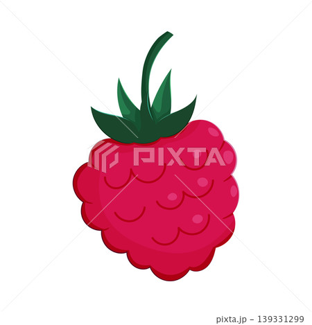 Illustration of a fresh raspberry with green top, simple and colorful design Illustration of a fresh raspberry with green top, simple and colorful design 139331299