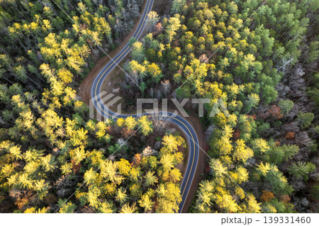 Blue Ridge Parkway in autumn. Mountain pass road between dense woods in seasonal colors in North Carolina Blue Ridge Parkway in autumn. Mountain pass road between dense woods in seasonal colors in North Carolina 139331460