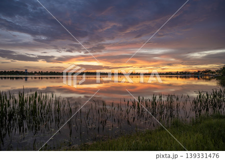 Beautiful nature landscape at sunset. Lake wildlife in Wellen park in Venice, Florida 139331476