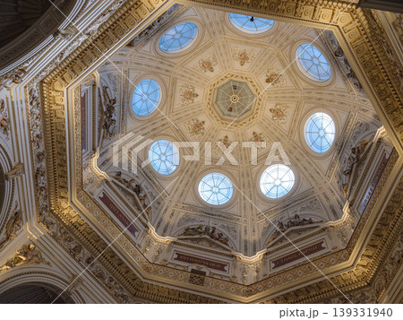 Celling in Naturhistorisches Museum in Vienna, Interior view of Vienna Natural History Museum showing exhibitions and details. Celling in Naturhistorisches Museum in Vienna, Interior view of Vienna Natural History Museum showing exhibitions and details. 139331940