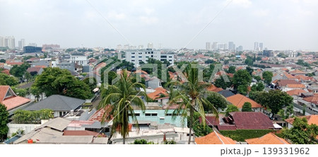 Panorama of residents with red roofs blending into skyscrapers 139331962