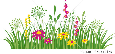 Flowers and grass, yellow and white chamomile and delicate meadow flowers and green grass Flowers and grass, yellow and white chamomile and delicate meadow flowers and green grass 139332175