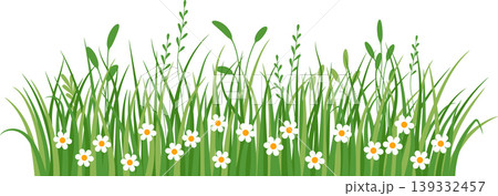 Flowers and grass border, yellow and white chamomile and delicate meadow flowers and green grass Flowers and grass border, yellow and white chamomile and delicate meadow flowers and green grass 139332457