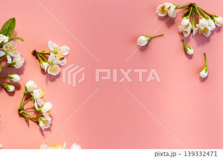delicate white spring blossoms on soft pink pastel background delicate white spring blossoms on soft pink pastel background 139332471