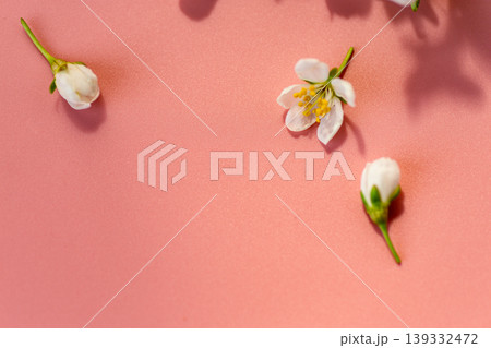 fresh spring branch with flowers on soft pink backdrop 139332472