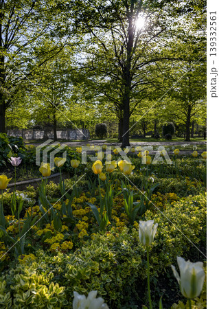 Flower display in Regents park in London Flower display in Regents park in London 139332561