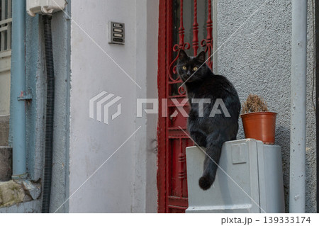 Black cat sits on utility box near red metal door, textured wall in urban setting with sharp focus and street detail. Pet behavior, urban life, animal portrait, lifestyle content, city atmosphere Black cat sits on utility box near red metal door, textured wall in urban setting with sharp focus and street detail. Pet behavior, urban life, animal portrait, lifestyle content, city atmosphere 139333174