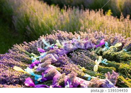 Table with lavender bouquets and sachets on background of lines of growing blooming lavender. Harvest of lavender, making bouquets and dry scent for sell Table with lavender bouquets and sachets on background of lines of growing blooming lavender. Harvest of lavender, making bouquets and dry scent for sell 139334450