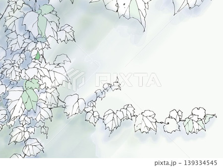 青々と茂る葉っぱたち 139334545
