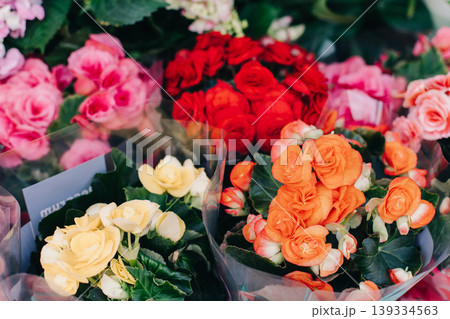 Beautiful colorful Begonia flowers in a Flower shop. Selective focus. 139334563