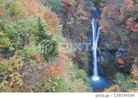 駒止の滝、紅葉、秋 駒止の滝、紅葉、秋 139334599