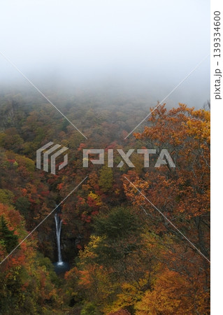 駒止の滝、紅葉、秋 駒止の滝、紅葉、秋 139334600
