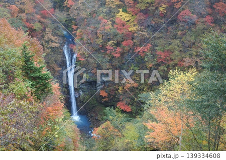 駒止の滝、紅葉、秋 駒止の滝、紅葉、秋 139334608