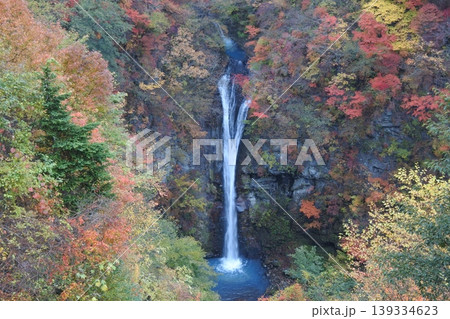駒止の滝、紅葉、秋 駒止の滝、紅葉、秋 139334623