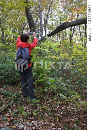 平成の森、紅葉、秋、ハイカー 平成の森、紅葉、秋、ハイカー 139334660