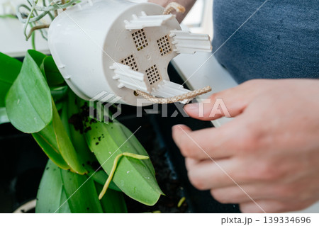 Close up of orchid pot with drainage holes. Preparing container for proper watering. Close up of orchid pot with drainage holes. Preparing container for proper watering. 139334696
