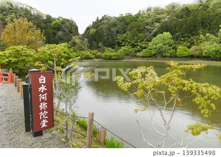 【いわき市 福島県唯一の国宝建造物 願成寺「白水阿弥陀堂」浄土式庭園と境内地】 【いわき市 福島県唯一の国宝建造物 願成寺「白水阿弥陀堂」浄土式庭園と境内地】 139335498