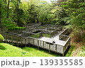 【いわき市　福島県立自然公園「弓弭の清水」遊歩道】 139335585