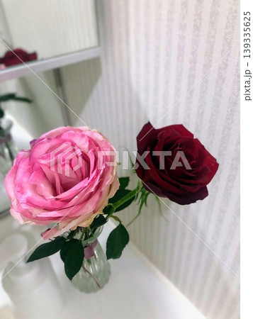 一輪挿しのピンクと赤バラの花 139335625