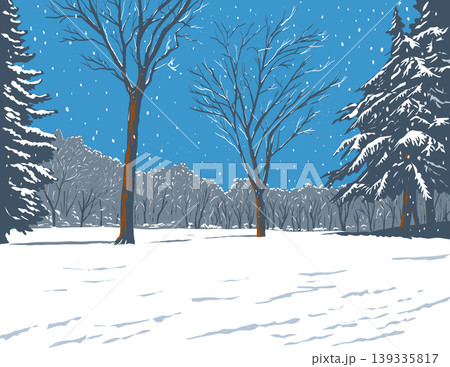 Christmas in Central Park New York City During Winter WPA Poster Art 139335817