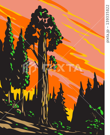 WPA Poster Art of General Grant Tree in Kings Canyon National Park USA 139335822