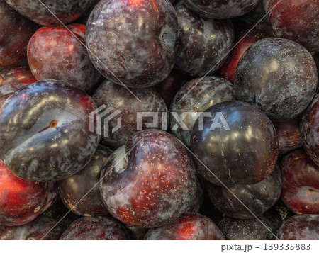 Fresh ripe purple plums pile at farmers market, summer fruit harvest Fresh ripe purple plums pile at farmers market, summer fruit harvest 139335883