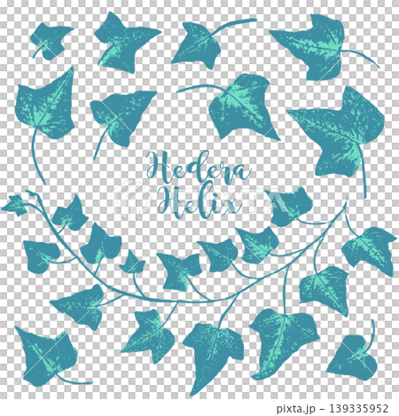 A stamp-like silhouette of ivy, created using the frottage technique. A stamp-like silhouette of ivy, created using the frottage technique. 139335952