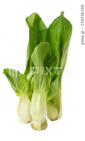 Organic Pak Choi or Chinese cabbage, fresh green vegetable for healthy cooking. Organic Pak Choi or Chinese cabbage, fresh green vegetable for healthy cooking. 139336188