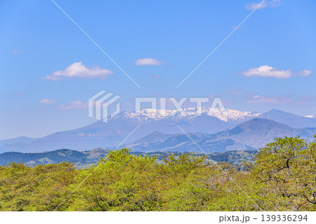 白石川の若葉と残雪の蔵王そして青空 139336294