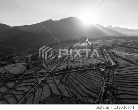 Beautiful morning view in Indonesia, panoramic landscape of rice fields with mountain ranges and clear sky Beautiful morning view in Indonesia, panoramic landscape of rice fields with mountain ranges and clear sky 139336571