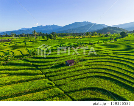 Beautiful morning view in Indonesia, panoramic landscape of rice fields with mountain ranges and clear sky Beautiful morning view in Indonesia, panoramic landscape of rice fields with mountain ranges and clear sky 139336585