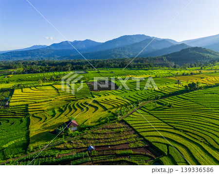 Beautiful morning view in Indonesia, panoramic landscape of rice fields with mountain ranges and clear sky Beautiful morning view in Indonesia, panoramic landscape of rice fields with mountain ranges and clear sky 139336586