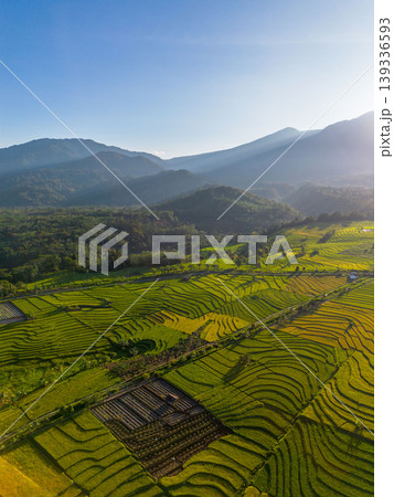 Beautiful morning view in Indonesia, panoramic landscape of rice fields with mountain ranges and clear sky Beautiful morning view in Indonesia, panoramic landscape of rice fields with mountain ranges and clear sky 139336593