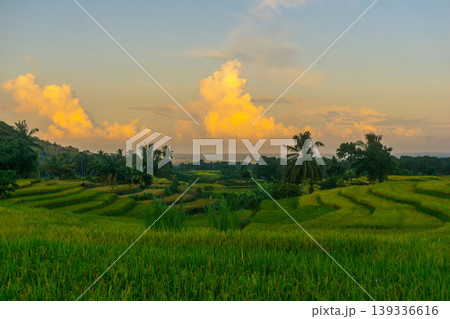Beautiful morning view in Indonesia, panoramic landscape of rice fields with mountain ranges and clear sky Beautiful morning view in Indonesia, panoramic landscape of rice fields with mountain ranges and clear sky 139336616