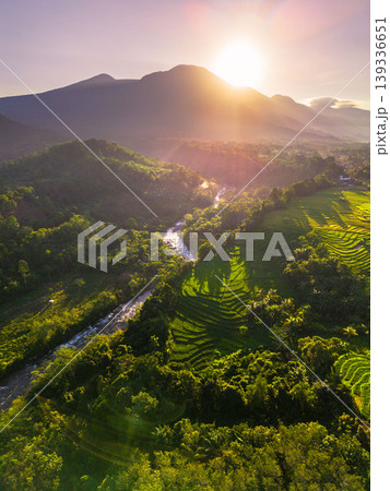 Beautiful morning view in Indonesia, panoramic landscape of rice fields with mountain ranges and clear sky 139336651