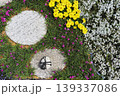 庭の飛び石と留石の俯瞰画像 139337086