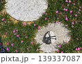 庭の飛び石と留石の俯瞰画像 139337087