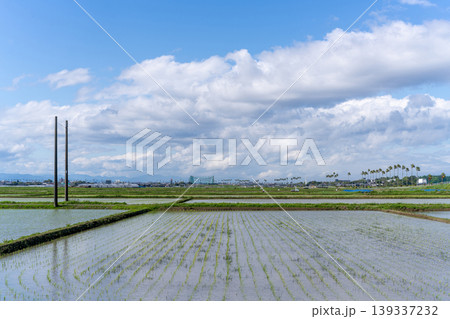 宮崎の水田風景 139337232