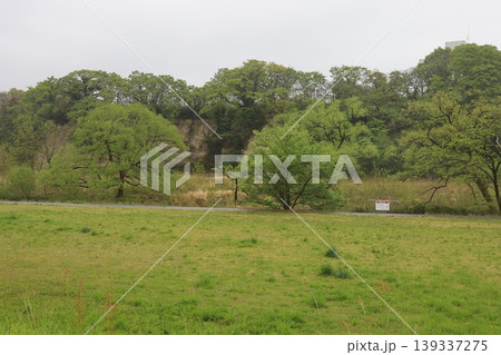 雨の広瀬川河川敷の風景 雨の広瀬川河川敷の風景 139337275