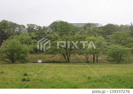 雨の広瀬川河川敷の風景 雨の広瀬川河川敷の風景 139337276