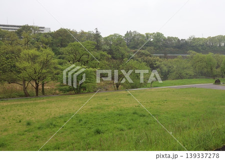 雨の広瀬川河川敷の風景 雨の広瀬川河川敷の風景 139337278