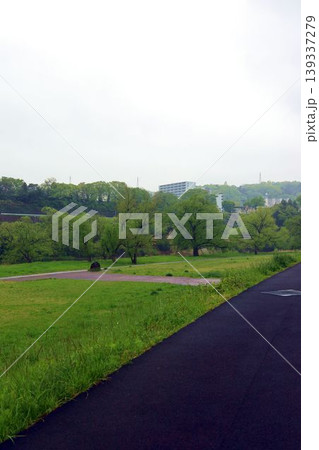 雨の広瀬川河川敷の風景 雨の広瀬川河川敷の風景 139337279